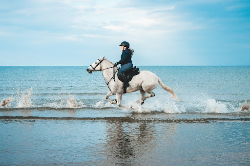 Horse Riding Lessons For Intermediate