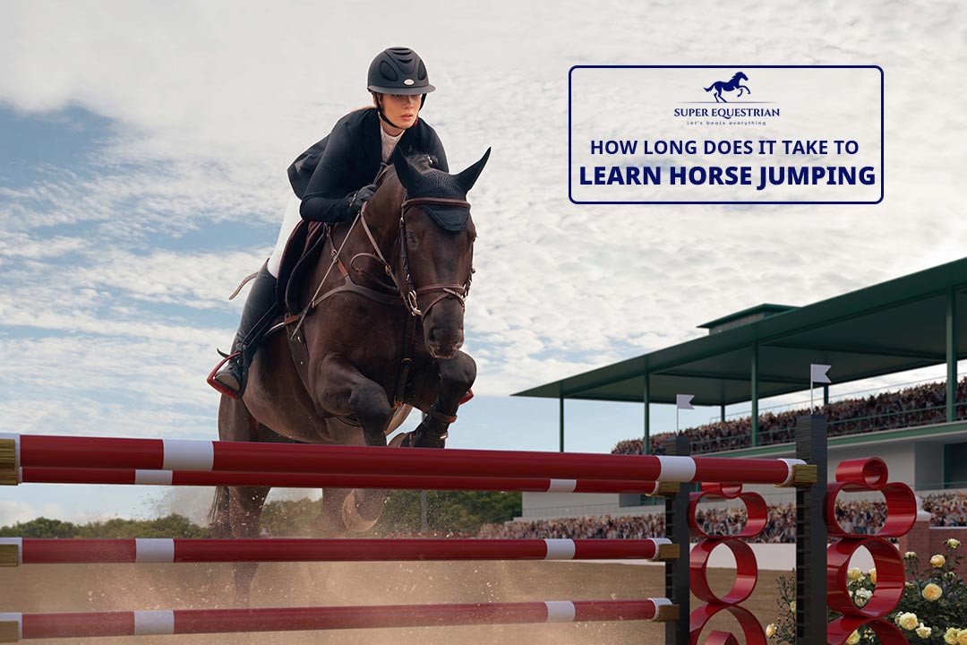 how long does it take to learn horse jumping